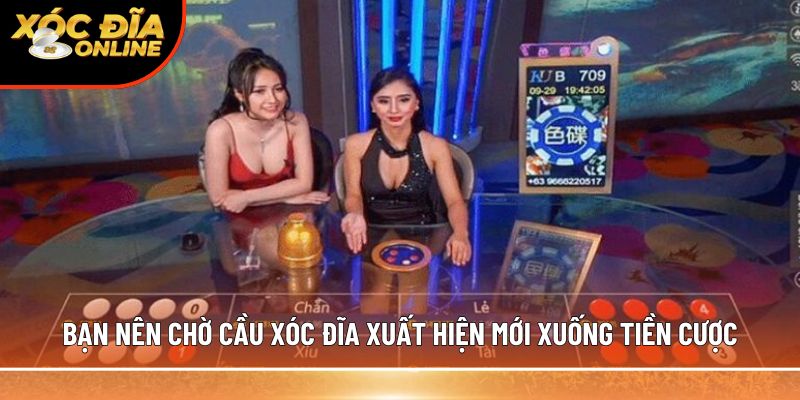 Bạn nên chờ cầu xóc đĩa xuất hiện mới xuống tiền cược