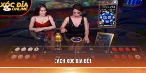 Cách xóc đĩa bệt - Phương pháp phân tích dây cầu hiệu quả